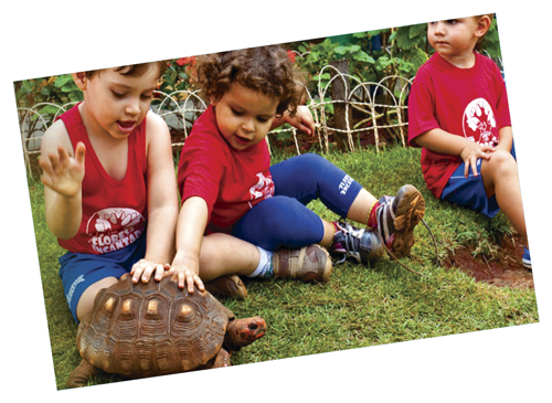 espaço amplo para brincar escola floresta encantada